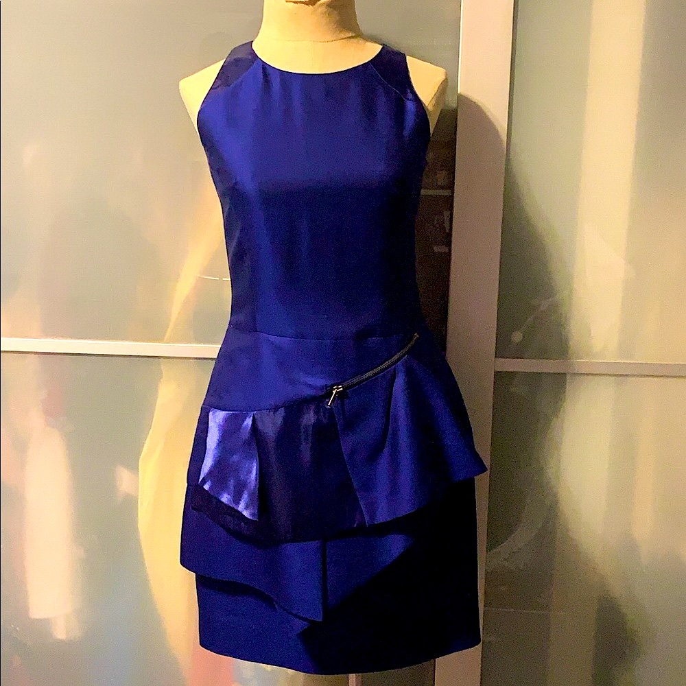 Reiss dress